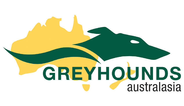 Greyhound racing